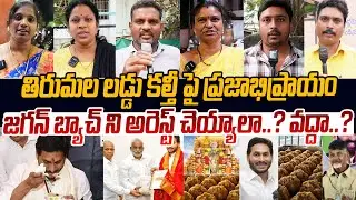 తిరుమల లడ్డు కల్తీ పై ప్రజాభిప్రాయం🙏 Public Talks On Tirumala Laddu | Ys Jagan | Chandrababu | PV