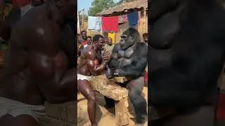 #animals #viralvideo #humanandanimal #kingkong
