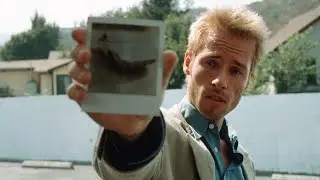 The Beauty of Narrative Filmmaking