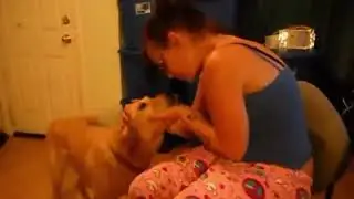 Girl Burps In Dogs Face