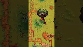 Will you like Kynseed?
