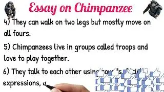 Essay on Chimpanzee | 10 lines on Chimpanzee | Essay Writing  | #essayforkids