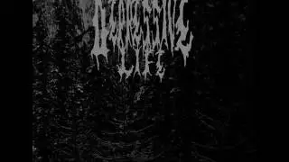 Depressive Life - End Of All Hope (Full 2&ordm;Demo 2010)