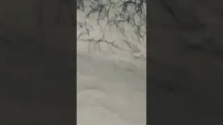 Real Mars Footage