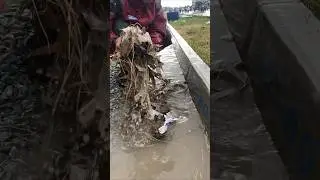 Volunteer Cleaning Trash Clogged Culvert Drain After raindrops #real #shorts #plastic #remove