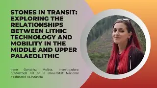Stones in transit: Exploring the relationships between lithic technology and mobility