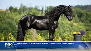 Erongo police probe N$2,5 million in high-value wildlife and property thefts - nbc