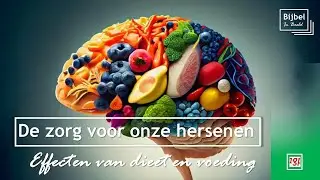 De zorg voor onze hersenen: Effecten van voeding en dieet | Bijbel in beeld - Studie voor beginners