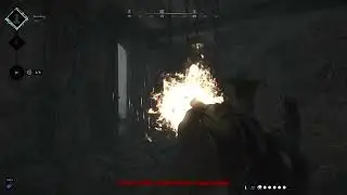 duo 1865: hunt showdown