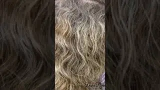 🔥 Perfect Shade Of Platinum Blonde Hair Color ( Transformation ) Pagans Beauty #shorts