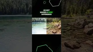 Поляризованные и неполяризованные солнцезащитные очки