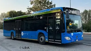 Mercedes-Benz O530 CITARO &Uuml; operated by Apam Mantova on line 15 headed to VILLIMPENTA. BUS N&deg; 914
