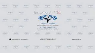 NATO Parliamentary Assembly Live Stream