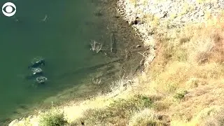 WEB EXTRA: Search For 