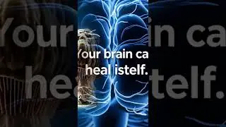 &ldquo;Your Brain Can Heal Itself | The Science of BDNF & Natural Neurogenesis&rdquo;