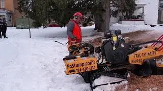Stump Grinding in Adamsburg PA