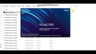 Vegas Pro Keeps Crashing when Creating Windows