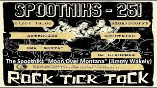 The Spootniks 