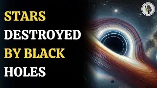 NASA Discovers Black Holes Destroying Stars 10x Heavier Than the Sun!  | WION Podcast
