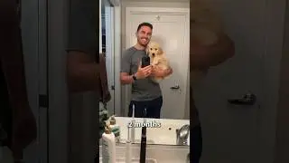 Puppy transforms into an adult in 15 seconds!