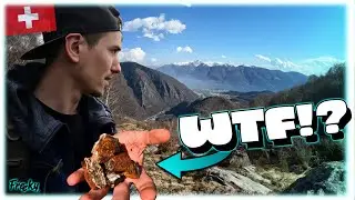 Springhike Switzerland &ndash; Two Powerful Vital Fungi Surprising Me On My Hike! | Monte Salmone | Freeky