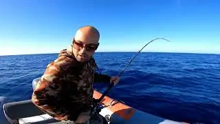 traina con il vivo cernia bruna 13 kg!!!