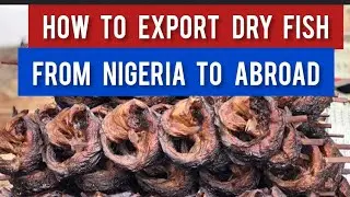 How To Export Dry Fish From Nigeria To Abroad 2025 / successfultipsE