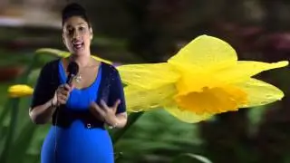 Virgo March 2014 Monthly Astrology Horoscope by Nadiya Shah