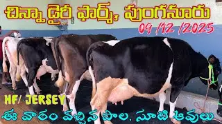 Cell ; 8639364981 / 9391213289 Chinna Dairy Farm punganuru ￼