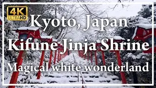 A vermilion lantern in a silver world. Witness the breathtaking winter scenery of Kifune Shrine.