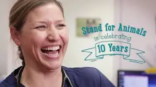 Bark Meow Wow: 10 Years of Stand For Animals