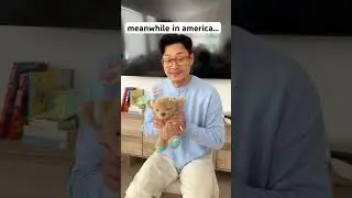 gold stars for everyone!