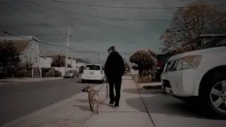 Pitbull mix with leash aggression l Dog training in Queens, NY & Cebu PH