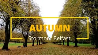 Autumn || Stormont Belfast