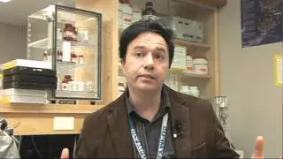 Marijuana & emotional perception research