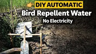 AUTOMATIC Bird Repellent EFFECTIVE