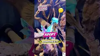 Вы бы взяли это существо Диснея? 🤔🐉 (Пандора, &laquo;Царство животных&raquo;, Банши)