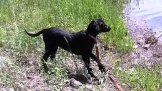 Stick It
