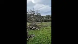 &Omicron;&iota;&kappa;ό&pi;&epsilon;&delta;&omicron; &sigma;&tau;&omicron; &Kappa;&upsilon;&mu;ά&sigma;&iota; / Land in Kimasi, Madoudi, Kireas, North Evia