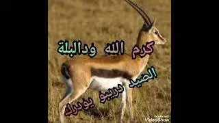 كرم الله ودالبلة - الصيد دريبو يودرك