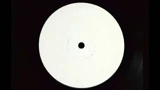 Wiley - Ice Rink 2