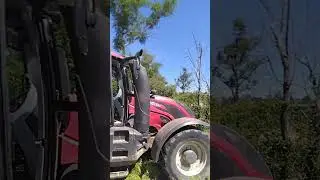 fini de botteler le triticale