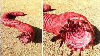 Top 6 Chinese Urban legends That Are Actually Real