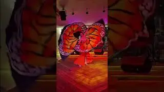 Hire the best Belly Dancers