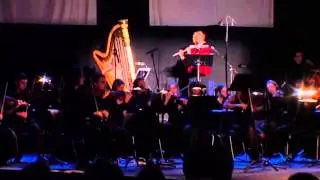F-J Beppe: &laquo;Flute Mystery&raquo; Op.66b (Hall / Postma / Valeev, Pluri_Art Orchestra ), 2008