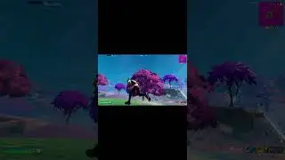 Eazyest Victory Royale #fortnite #fnatic #fortniteclips #fnaticrising #gaming #fncwin #chapter6