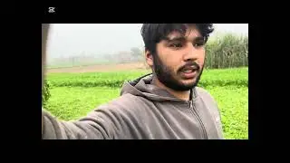 ماشاءاللہ! ہماری گا تے نے خوبصورت بچہ دیا 🐃 | New Calf Born | Desi Dairy Life
