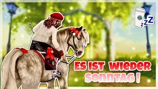 🔴LIVE II Wir kaufen ein & der übliche Alltag halt🍓II justjulie II SSO