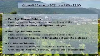 Viticoltura biologica