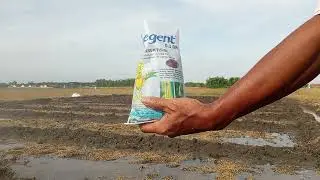 DJ, Starts,Benih Lahan Sawah,Ds,Ngringin, obrolan  orang bekerja,🇮🇩😎🙋🌾🌾🌾🌾🌾📡🛰️✈️